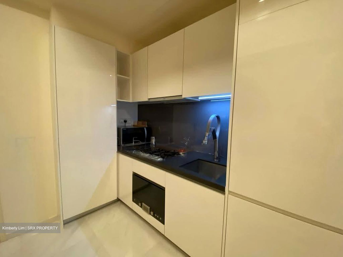 Lincoln Suites (D11), Condominium #634082051